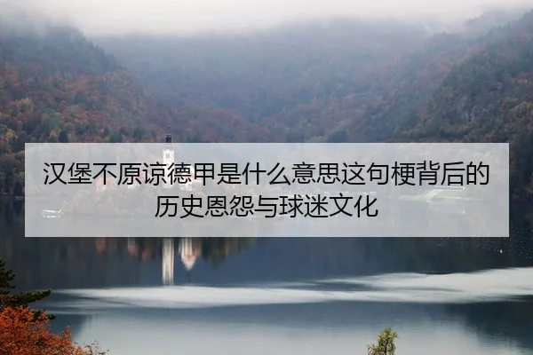 汉堡不原谅德甲是什么意思这句梗背后的历史恩怨与球迷文化