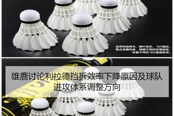 xiong-lu-tao-lun-li-la-de-dang-chai-xiao-lv-xia-jiang-yuan-yin-ji-qiu-dui-jin-gong-ti-xi-tiao-zheng-fang-xiang-2-488.jpg